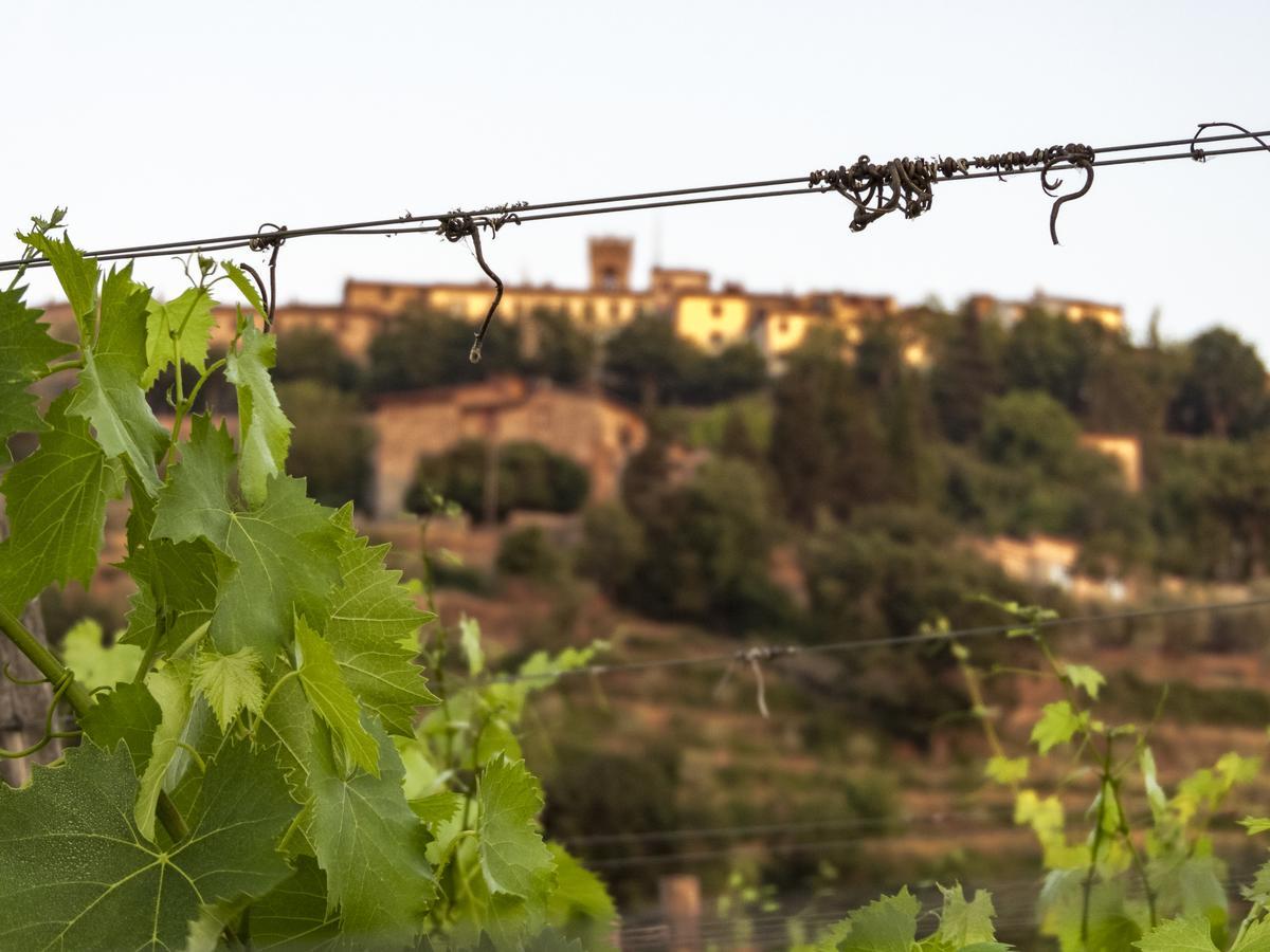 Tenuta Cortedomina Séjour à la ferme Radda in Chianti